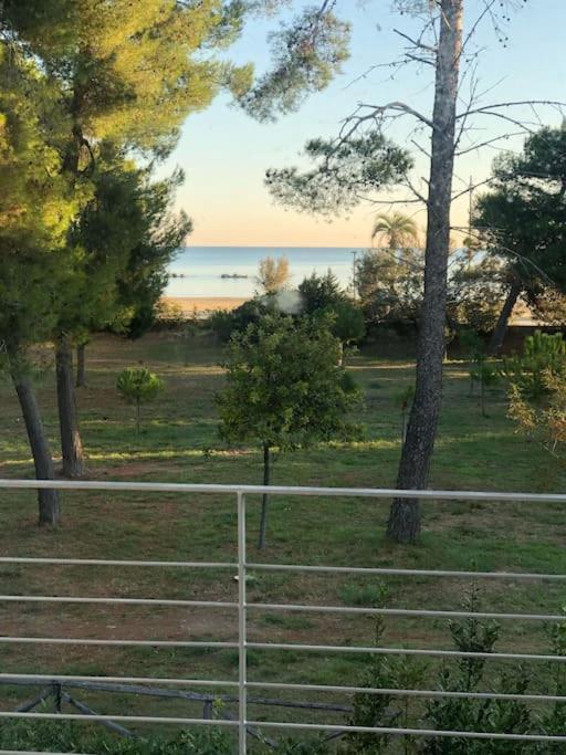 Villa California Seafront Montesilvano